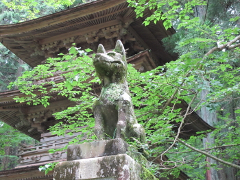 光前寺の早太郎像